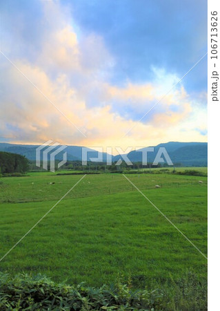 北海道、心安らぐ道北、美深町のファームイントントでオートキャンプを楽しむ夏、蕎麦畑でつかまえて 北海道、心安らぐ道北、美深町のファームイントントでオートキャンプを楽しむ夏、蕎麦畑でつかまえて 106713626