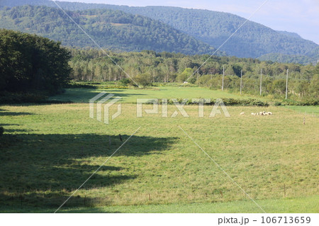 北海道、心安らぐ道北、美深町のファームイントントでオートキャンプを楽しむ夏、蕎麦畑でつかまえて 北海道、心安らぐ道北、美深町のファームイントントでオートキャンプを楽しむ夏、蕎麦畑でつかまえて 106713659