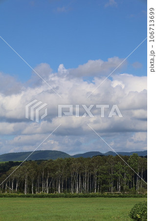 北海道、心安らぐ道北、美深町のファームイントントでオートキャンプを楽しむ夏、蕎麦畑でつかまえて 106713699