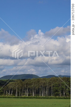 北海道、心安らぐ道北、美深町のファームイントントでオートキャンプを楽しむ夏、蕎麦畑でつかまえて 106713700