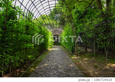 殿ヶ谷戸庭園の萩のトンネル 殿ヶ谷戸庭園の萩のトンネル 106714410