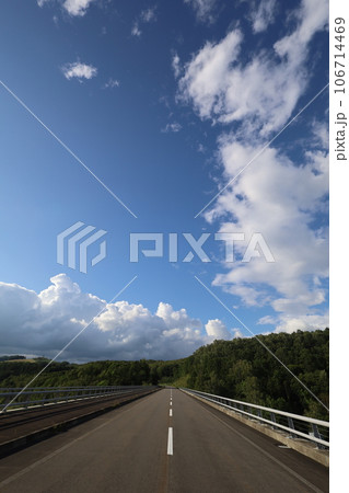 北海道の道北、八月の爽やかなドライブでみつけた森林の町、下川町、サンルダムに流れるサンル川の沈林 北海道の道北、八月の爽やかなドライブでみつけた森林の町、下川町、サンルダムに流れるサンル川の沈林 106714469