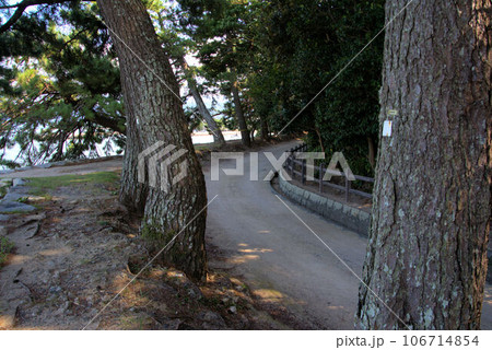 唐津城下散歩道からの風景 唐津市 唐津城下散歩道からの風景 唐津市 106714854