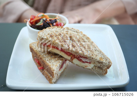 Sandwich with ham, cheese, tomatoes on a plate Sandwich with ham, cheese, tomatoes on a plate 106715026