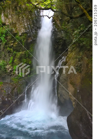 伊豆半島・中伊豆・河津七滝・最も上流にある釜滝・静岡県河津町(3) 伊豆半島・中伊豆・河津七滝・最も上流にある釜滝・静岡県河津町(3) 106715169