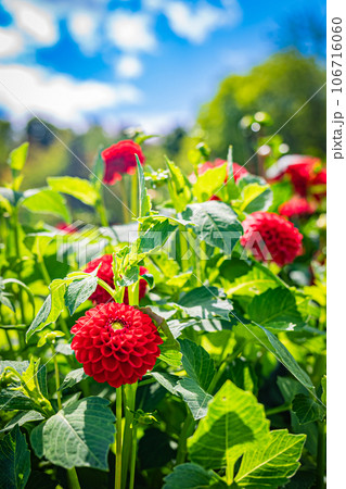 滝野すずらん公園の風景 106716060