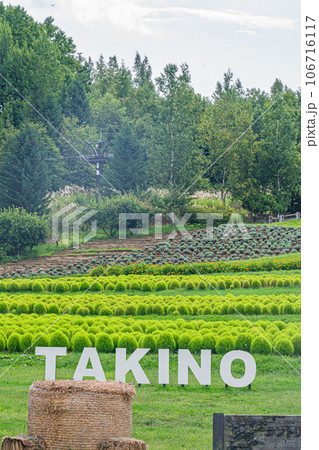 滝野すずらん公園の風景 滝野すずらん公園の風景 106716117