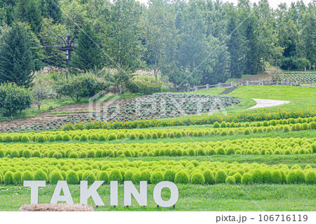 滝野すずらん公園の風景 滝野すずらん公園の風景 106716119