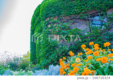 札幌市 農試公園の風景 札幌市 農試公園の風景 106716324