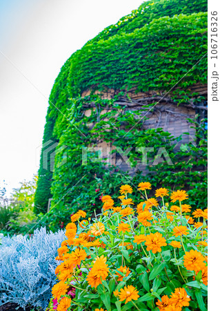 札幌市　農試公園の風景 106716326