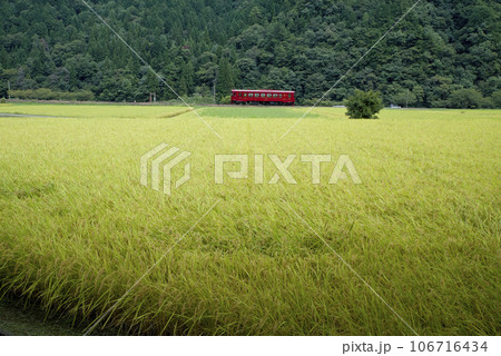 秋の長良川鉄道 秋の長良川鉄道 106716434