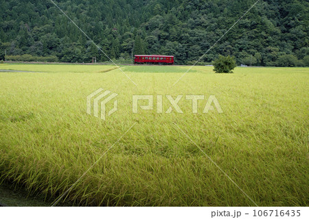 秋の長良川鉄道 106716435
