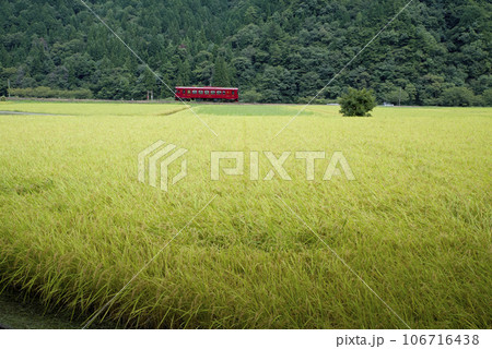 秋の長良川鉄道 秋の長良川鉄道 106716438