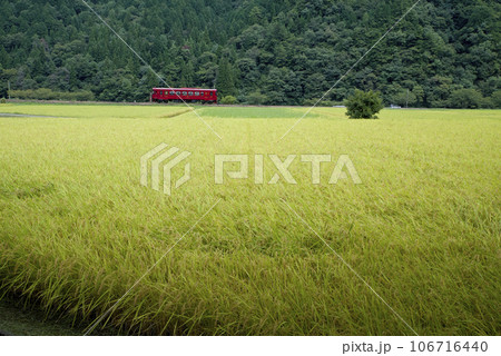 秋の長良川鉄道 106716440