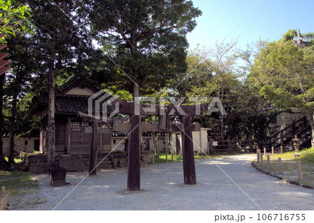 唐津城 お城の風景 唐津城 お城の風景 106716755