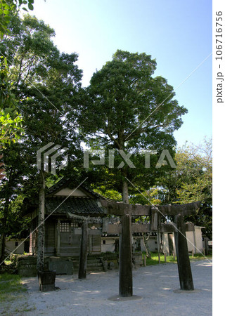 唐津城　お城の風景 106716756