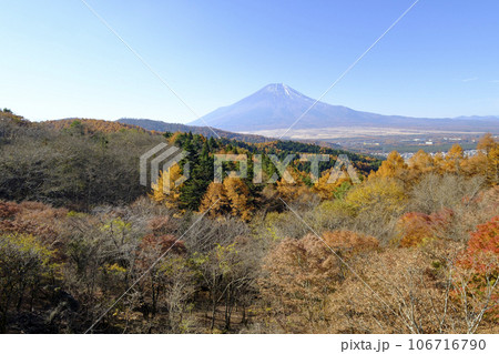 秋の紅葉と富士山 秋の紅葉と富士山 106716790