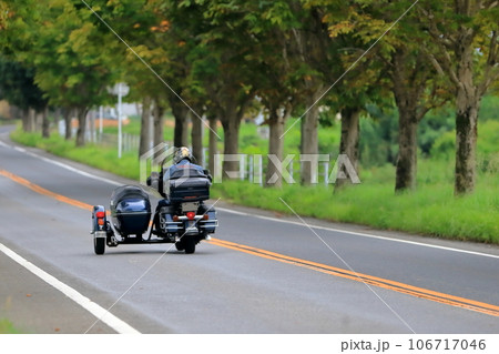 並木道とサイドカー 並木道とサイドカー 106717046