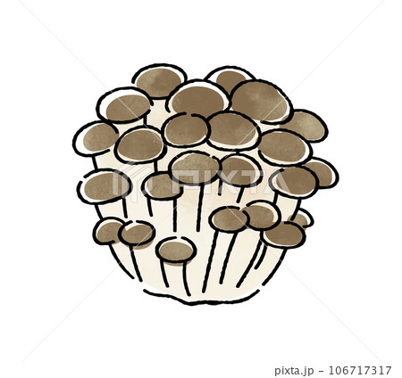 しめじ 106717317