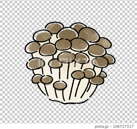 しめじ 106717317