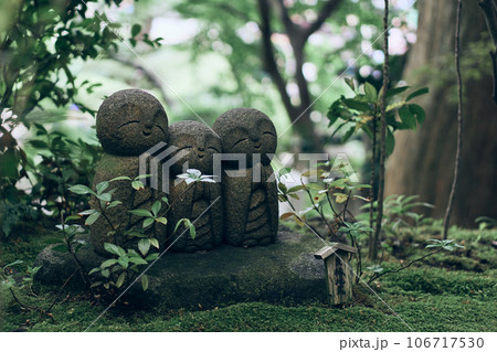 鎌倉 長谷寺の和み地蔵 鎌倉 長谷寺の和み地蔵 106717530