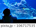 水槽を眺める子供 106717535