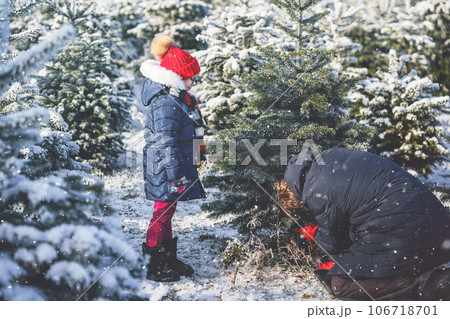 Happy little girl and dad felling Christmas tree. Preschool child with father, young man on fir cutting plantation. Family choose, cut and fell own xmas tree in forest. Germany tradition Happy little girl and dad felling Christmas tree. Preschool child with father, young man on fir cutting plantation. Family choose, cut and fell own xmas tree in forest. Germany tradition 106718701