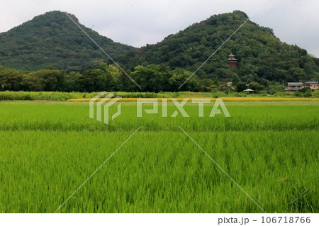 栃木県佐野市出流原町(磯山弁財天)の風景 栃木県佐野市出流原町(磯山弁財天)の風景 106718766