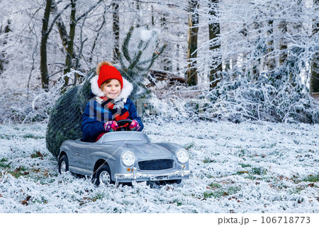 Happy little smiling girl driving toy car with Christmas tree. Funny preschool child in winter clothes bringing hewed xmas tree from snowy forest. Family, tradition, holiday. 106718773