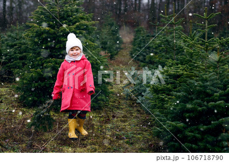 Adorable little toddler girl with Christmas tree on fir tree cutting plantation . Happy child in winter fashion clothes choosing, cut and felling own xmas tree in forest, family tradition in Germany 106718790