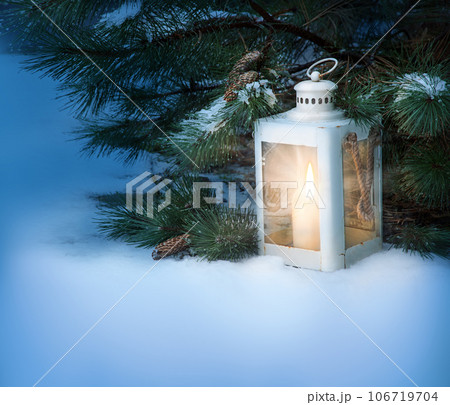 Glowing lantern under fir tree in the forest 106719704