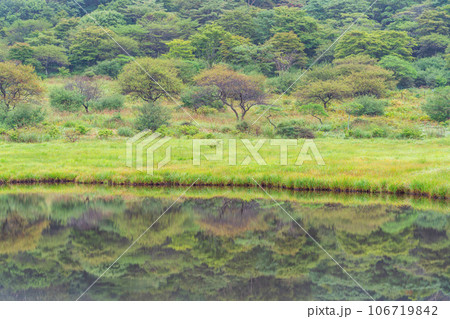 （群馬県）赤城山・早い紅葉が始まった覚満淵 106719842