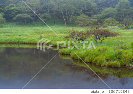 （群馬県）赤城山・早い紅葉が始まった覚満淵 106719848