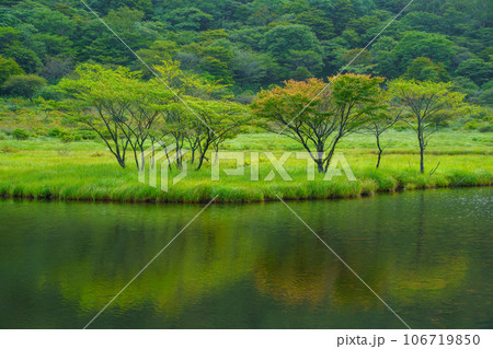 （群馬県）赤城山・早い紅葉が始まった覚満淵 106719850