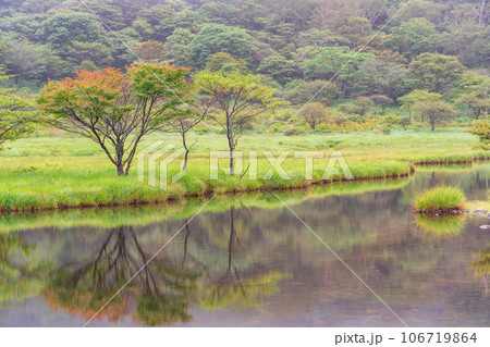 (群馬県)赤城山・早い紅葉が始まった覚満淵 (群馬県)赤城山・早い紅葉が始まった覚満淵 106719864