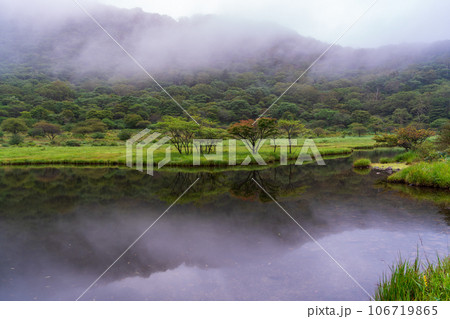 (群馬県)赤城山・早い紅葉が始まった覚満淵 (群馬県)赤城山・早い紅葉が始まった覚満淵 106719865