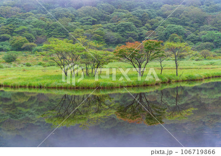 (群馬県)赤城山・早い紅葉が始まった覚満淵 (群馬県)赤城山・早い紅葉が始まった覚満淵 106719866