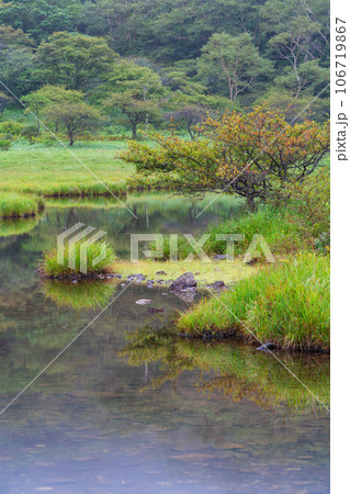 （群馬県）赤城山・早い紅葉が始まった覚満淵 106719867