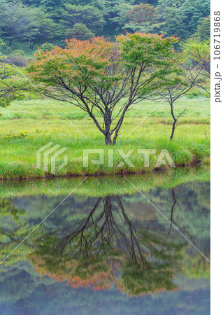（群馬県）赤城山・早い紅葉が始まった覚満淵 106719868
