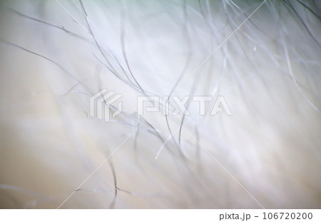 macro air soft fluffy background 106720200