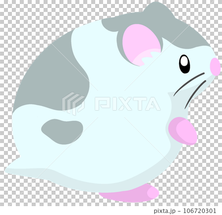 roborovsky pied blue roborovsky pied blue 106720301