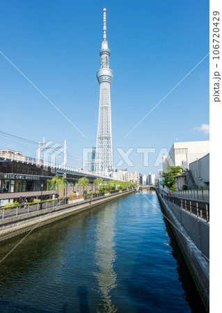 夏の青空とスカイツリー 東京ミズマチ側から 夏の青空とスカイツリー 東京ミズマチ側から 106720429