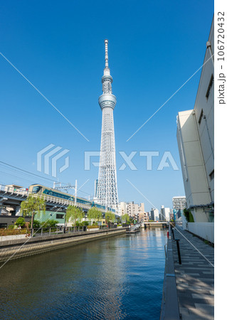 夏の青空とスカイツリー 東京ミズマチ側から 夏の青空とスカイツリー 東京ミズマチ側から 106720432