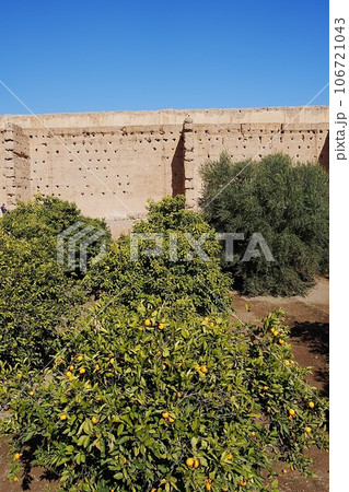 Garden at El Badi palace in Marrakech city in Morocco - vertical 106721043
