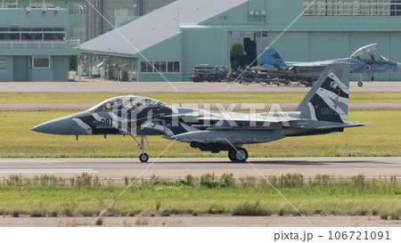 航空自衛隊飛行教導群F-15DJイーグルのタキシング 航空自衛隊飛行教導群F-15DJイーグルのタキシング 106721091