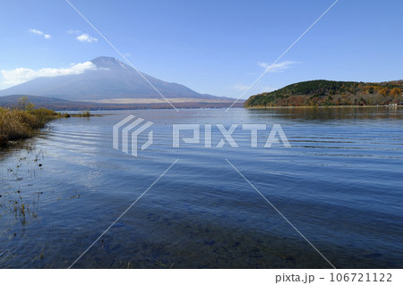 秋の山中湖と富士山 秋の山中湖と富士山 106721122