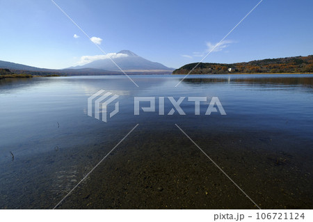 秋の山中湖と富士山 秋の山中湖と富士山 106721124