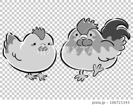 Illustration of a pair of Nagoya Cochin (chickens) (male and female) black and white Illustration of a pair of Nagoya Cochin (chickens) (male and female) black and white 106721343