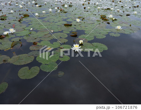 利根親水公園 106721876