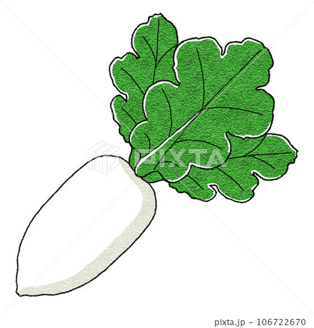 野菜ダイコンのデフォルメデジタルイラスト 106722670